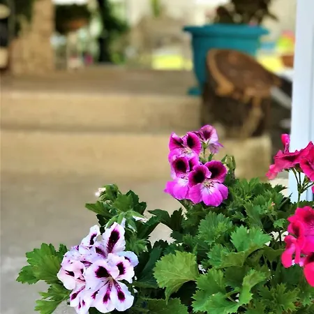 Otel Adres Alaçatı