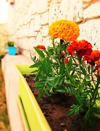 Adres Hotel Alaçatı